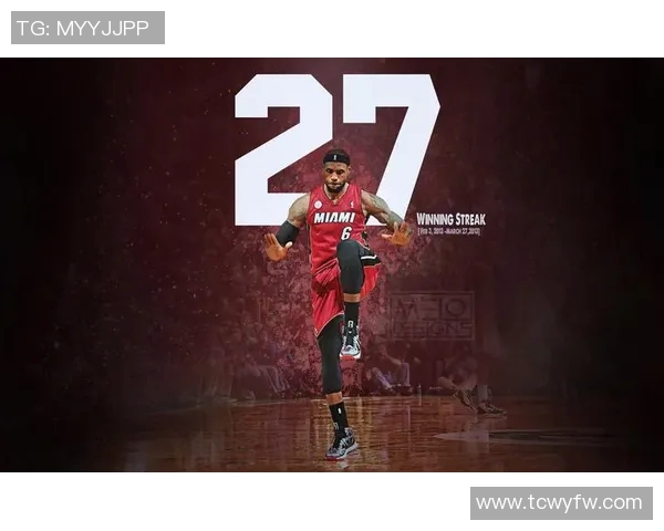 2013年热火队与森林狼队的精彩对决回顾与分析