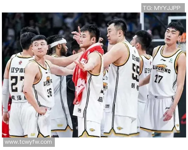 2013年CBA赛季辽宁队与北京队精彩对决回顾与分析