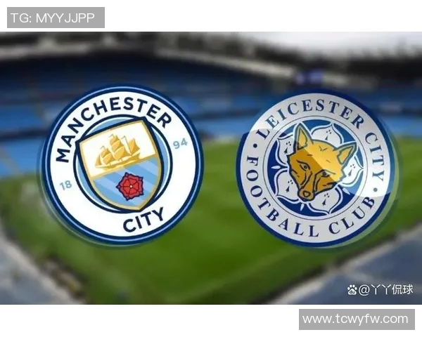 2019年英超精彩对决埃弗顿主场迎战莱斯特城全场回顾与分析