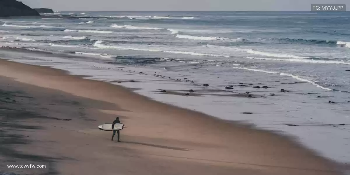 📺独家内容，随时回看！⏯️